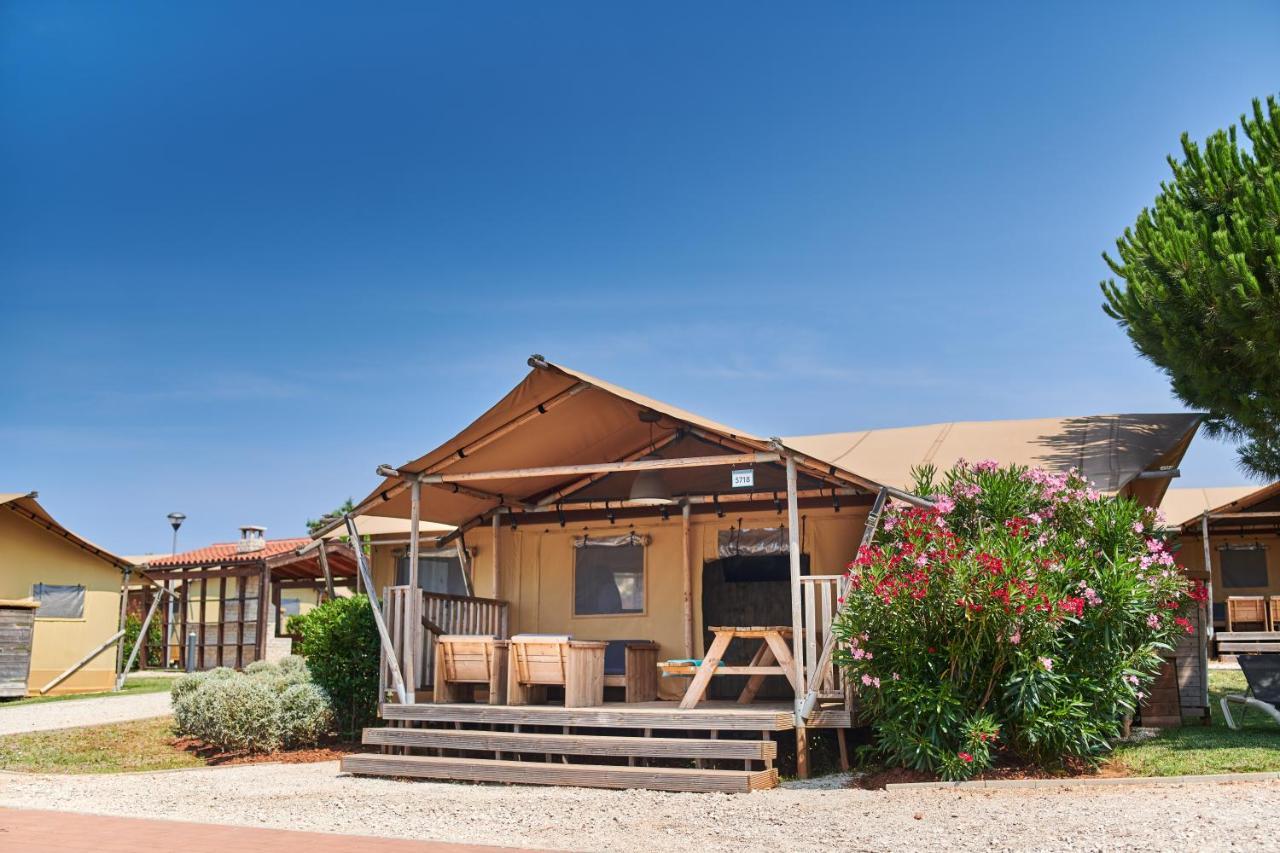 Luxury tent Park Glamping